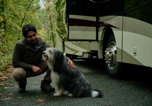 RVing with Pets: Tips for a Fun and Stress-Free Trip